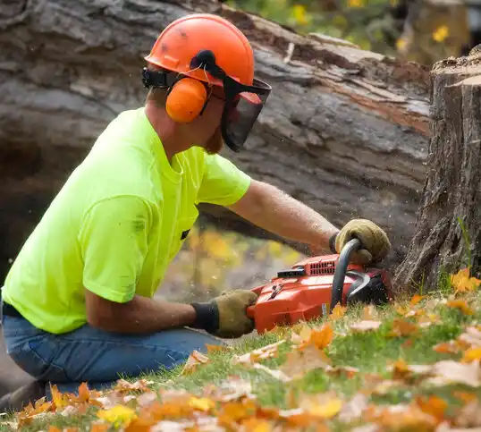 tree services Harper Woods